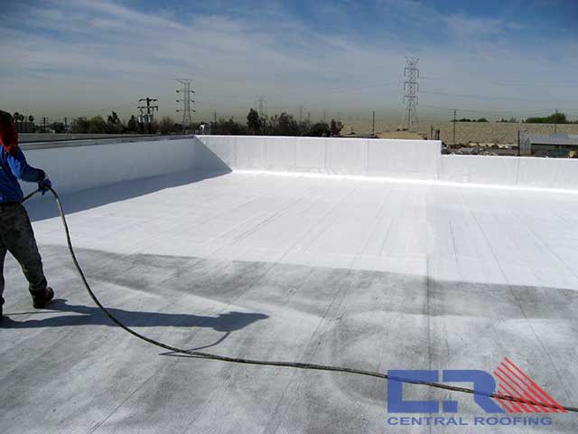 primer top coat layer
