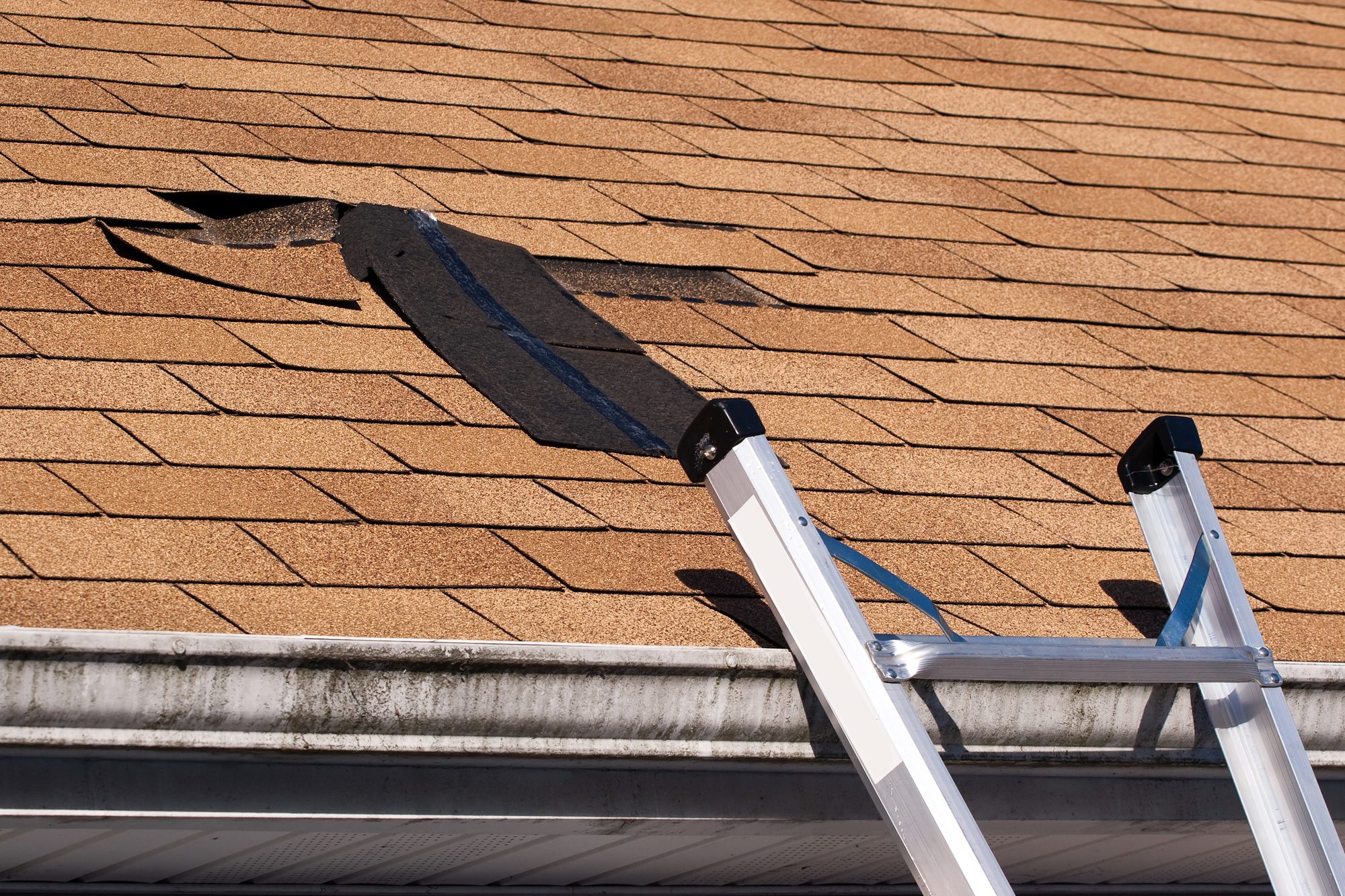 5 Common Roof Problems and How to Prevent Them roof problems